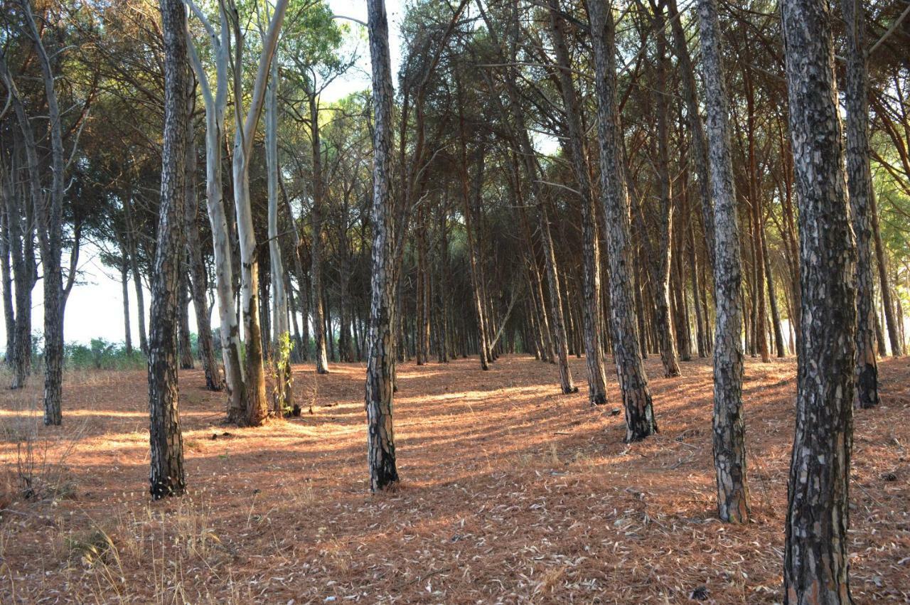 Oasi Del Governatore Сквилласе Экстерьер фото